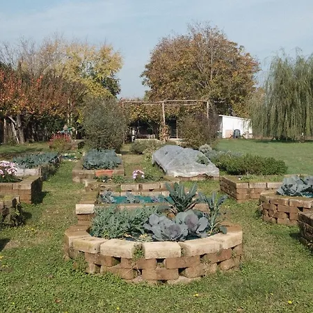 Tenuta La Borina مزرعة للإقامة *
