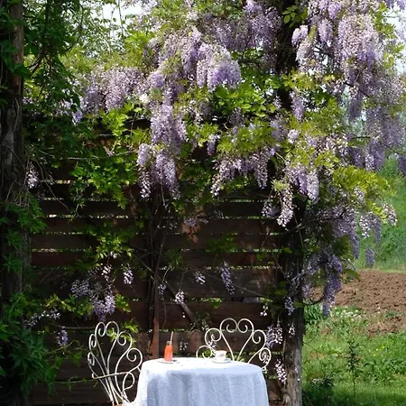 Tenuta La Borina *