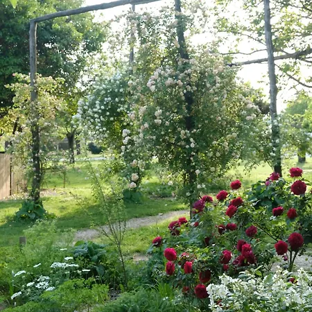 Tenuta La Borina * سان بونيفاتشيو