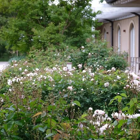 Tenuta Agriturismo La Borina Фермерский дом