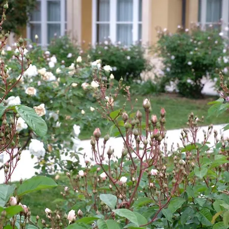 Tenuta Agriturismo La Borina Сан Бонифацио